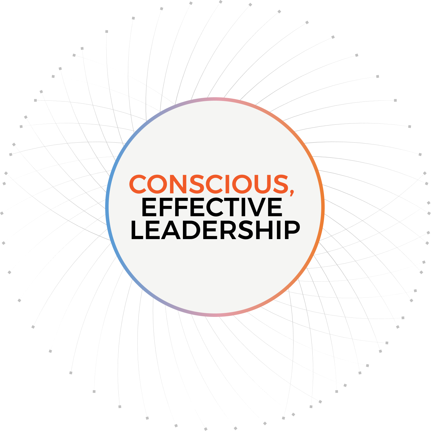 Conscious Effective Leadership