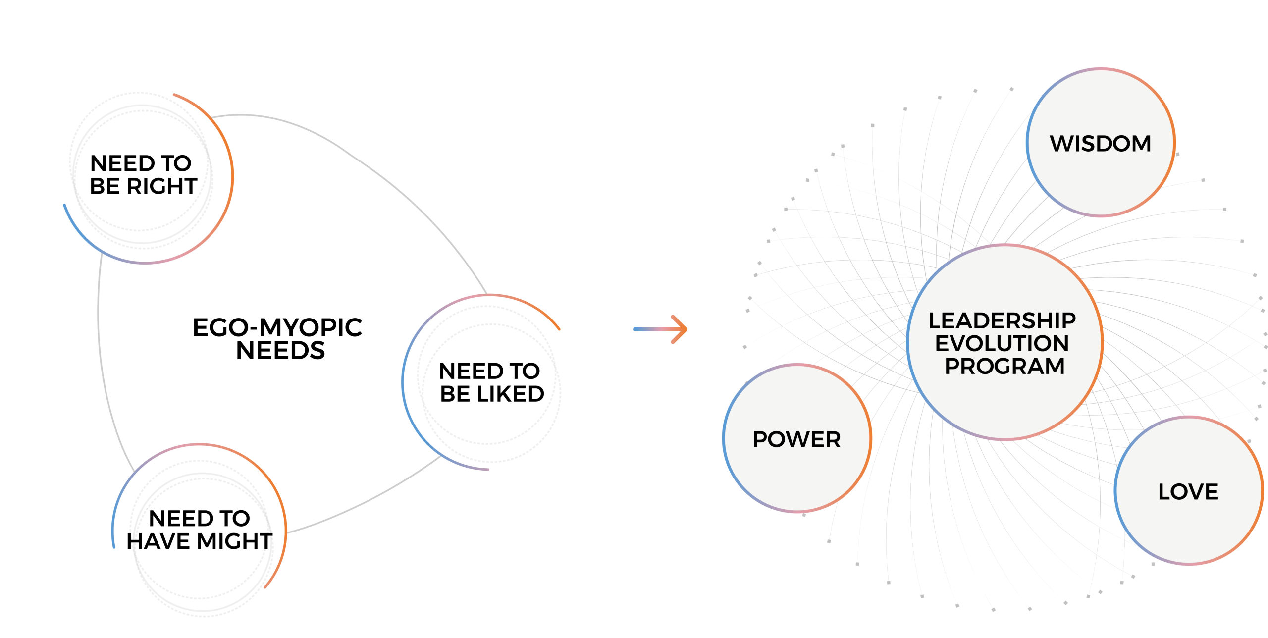Leadership Evolution Program Evolution Process