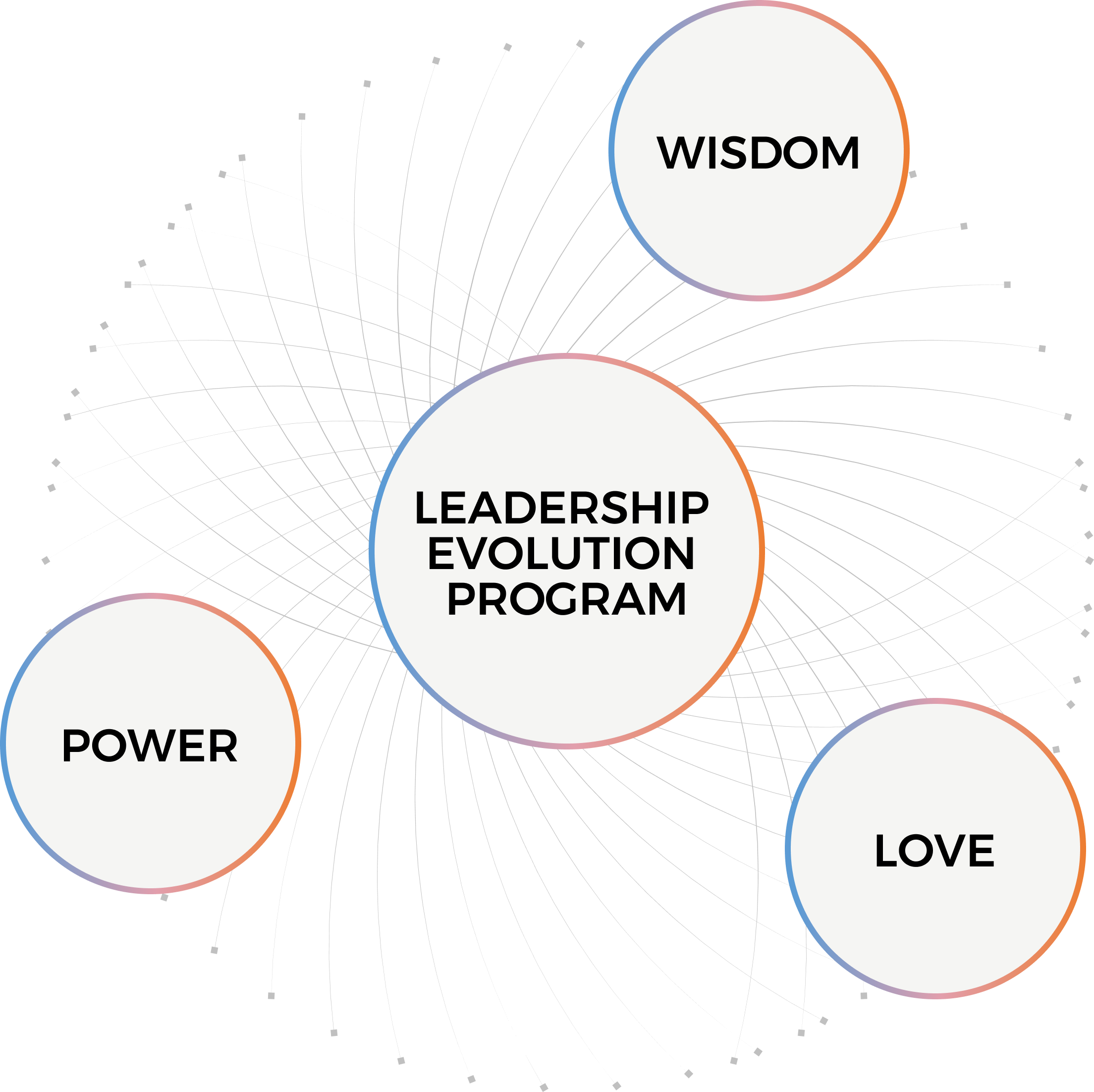 Leadership Evolution Program Evolution Process